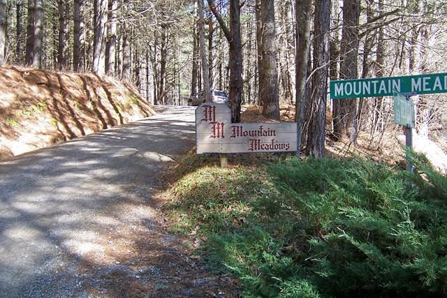00 Mtn Meadow - Photo 1