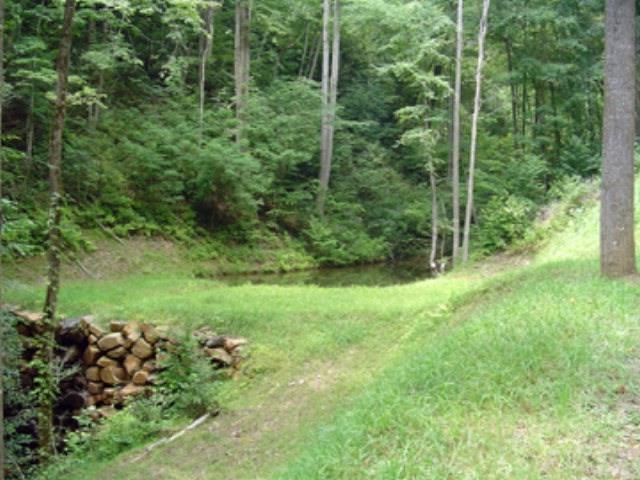 20+/- Acres, Fontana Lake Drive - Photo 1