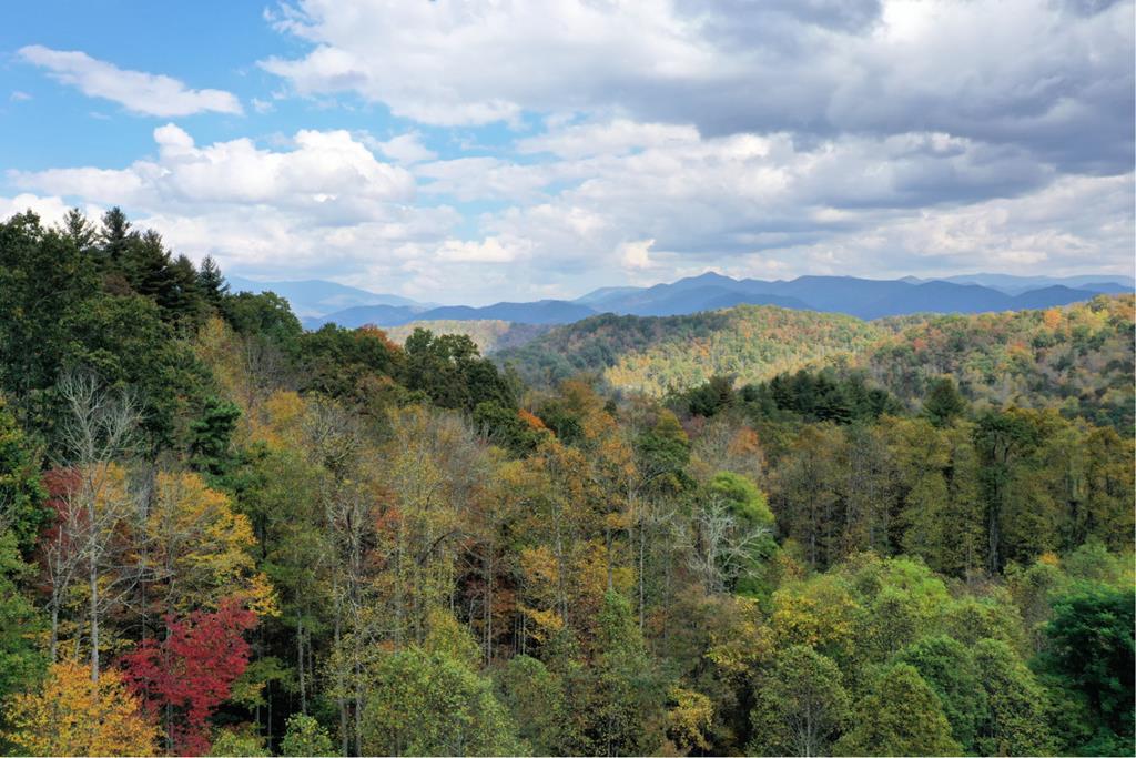 VL40 Mountain Forest Estates - Photo 1