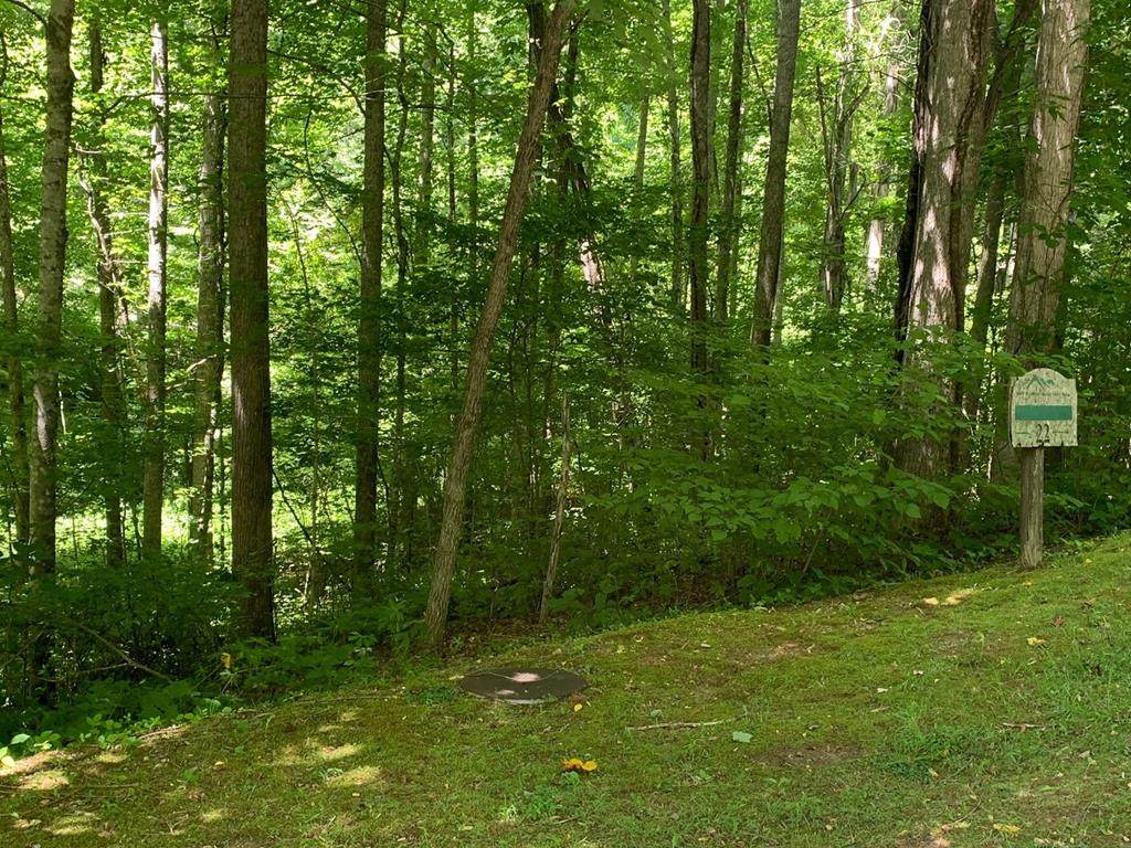 22 Eagle Ridge Circle - Photo 1