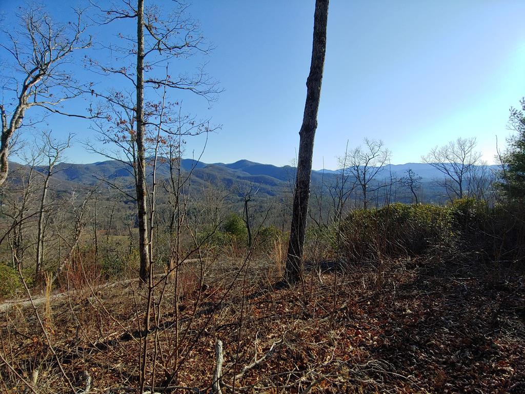 00 Henderson Road - Photo 1