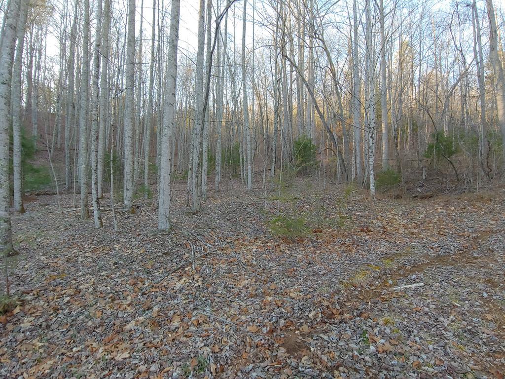 00 Blackburn Branch Road - Photo 1