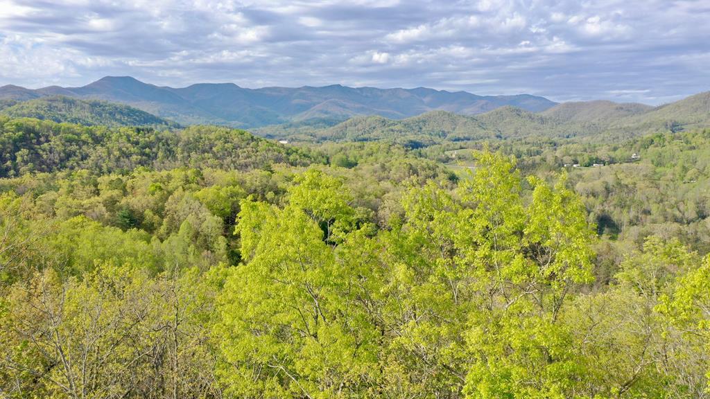 455 Briarcliff Drive - Photo 1