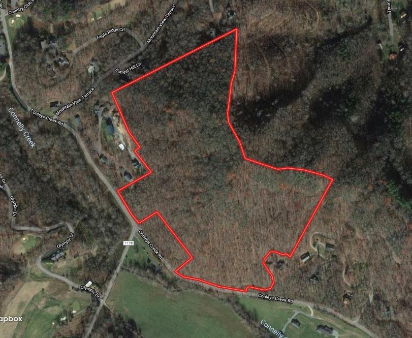 1951 Conley's Creek Road - Photo 1