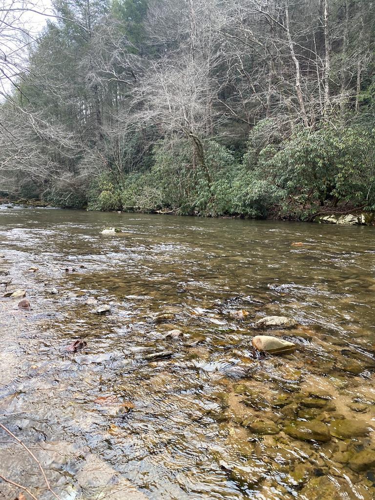 00 Nc 212 Hwy - Photo 1