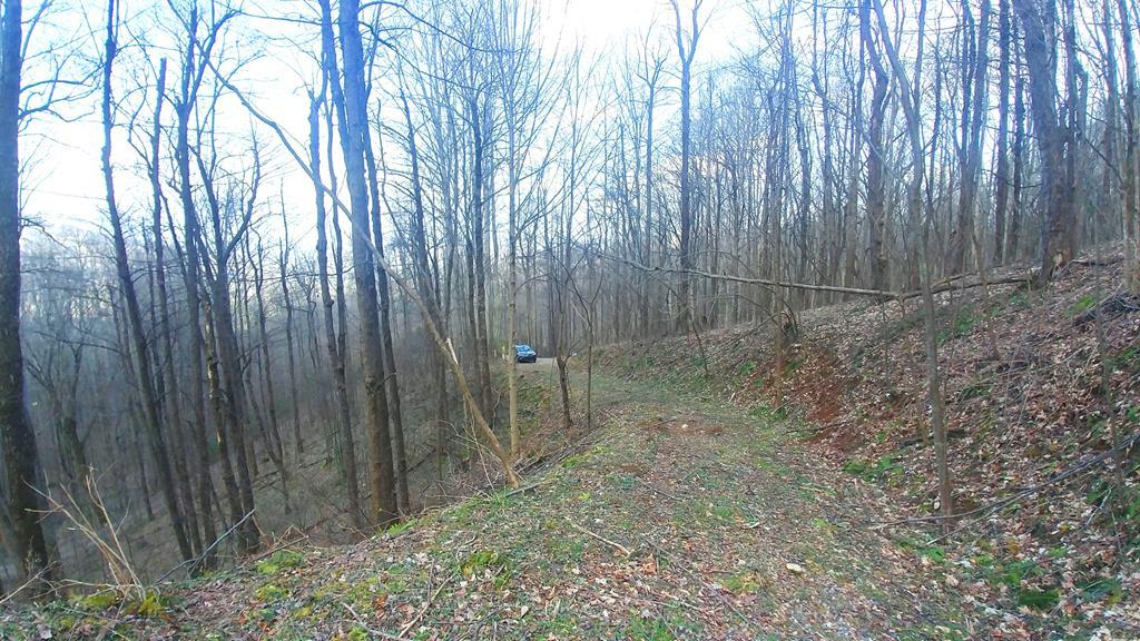 10A Twin Brook Dr - Photo 1