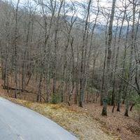 Lot 166 Trout Lily Ln - Photo 1