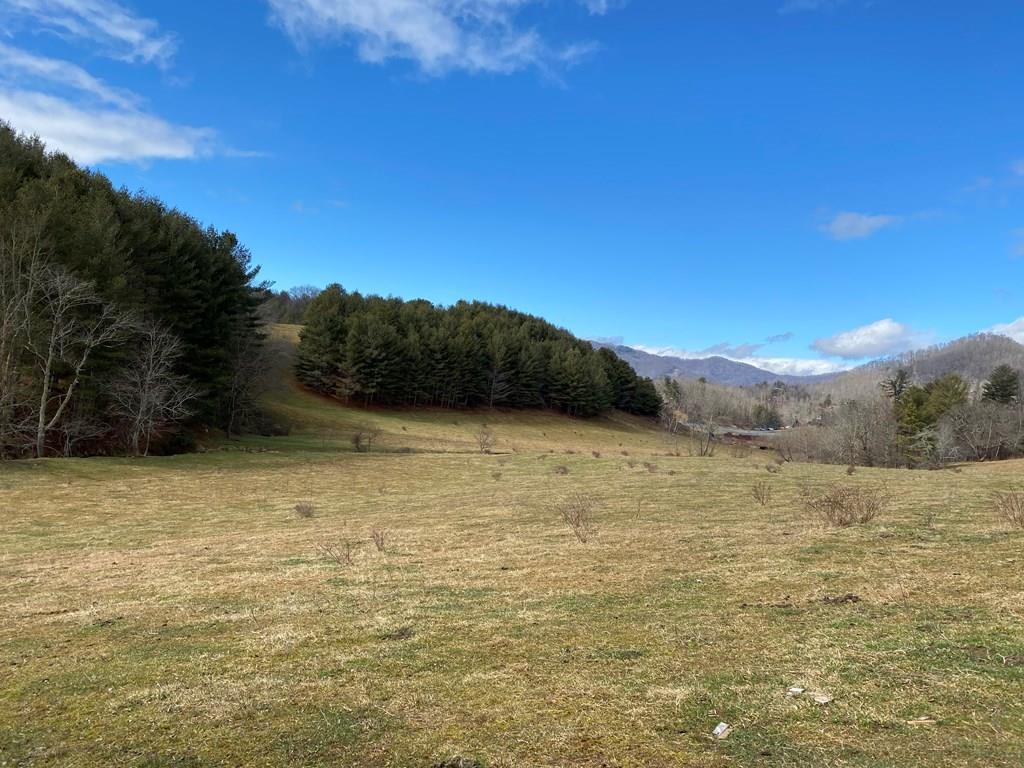 00 Hwy 19 East - Photo 1