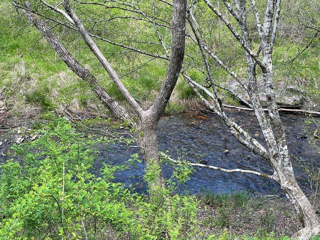 5192 Hwy 28 - Photo 1