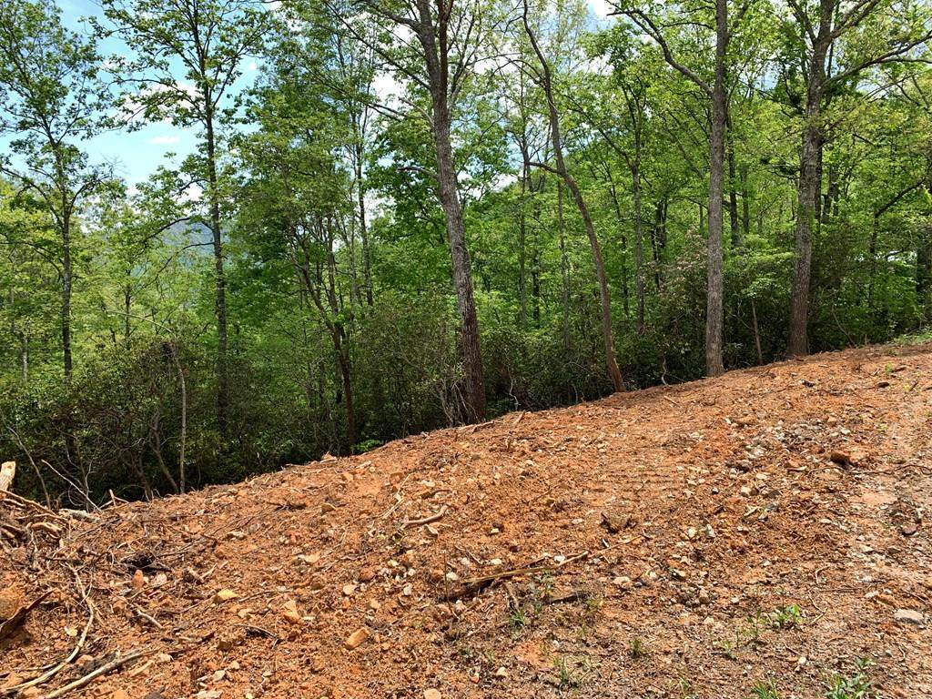 Lot 2 Palmetto Ridge - Photo 1