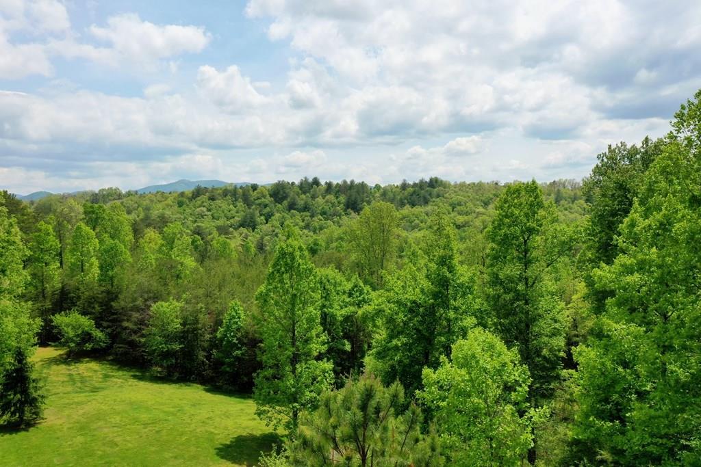 236 Brasstown Acres - Photo 1