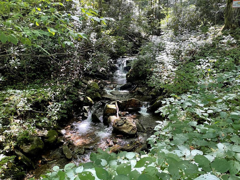 lot 58 Black Rock Creek - Photo 1