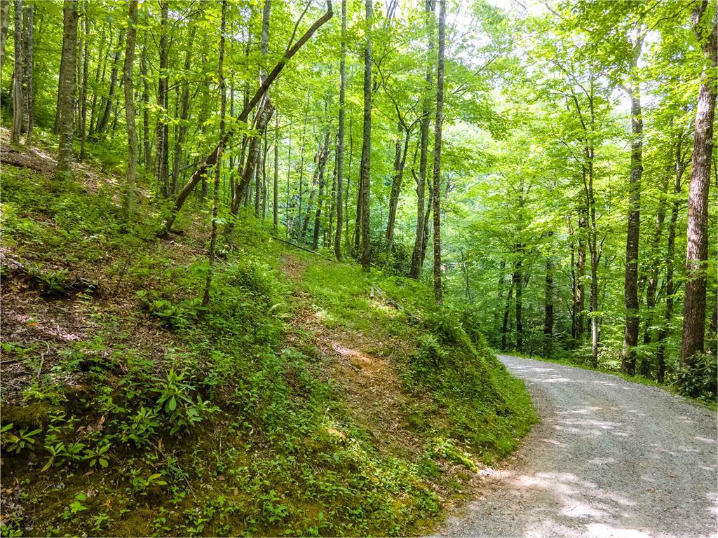 Lot 12C Von Trapp Lane - Photo 1