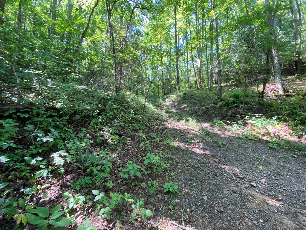 0 Hannah Mountain Road - Photo 1