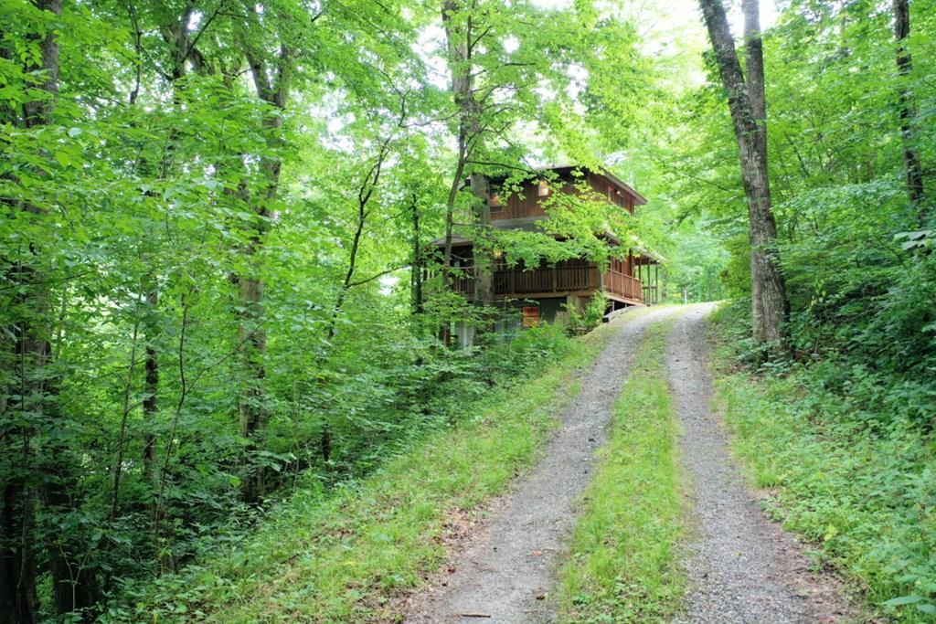 7 Hawks Nest Ridge - Photo 1