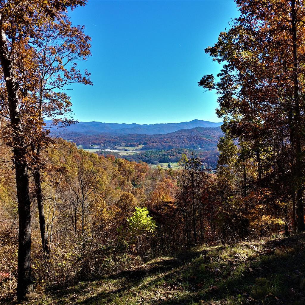 00 Lot # 7 Buckhead Trace - Photo 1