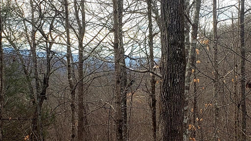 000 Johns Creek And Caney Fork - Photo 1