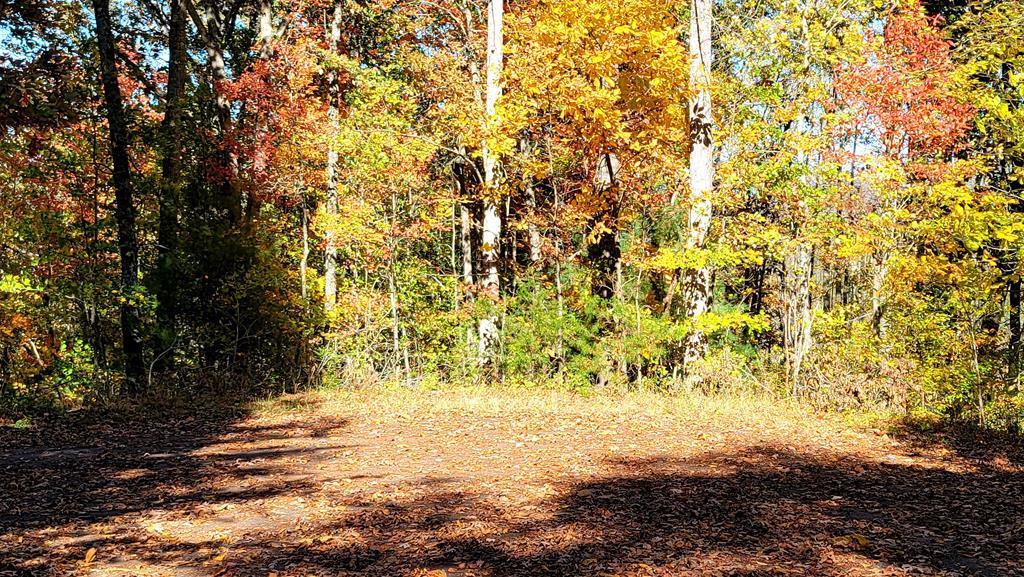 00 Longwood - Photo 1