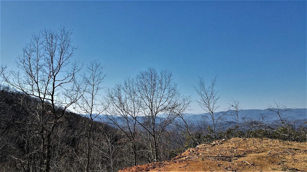 TBD Battle Branch Rd - Photo 1