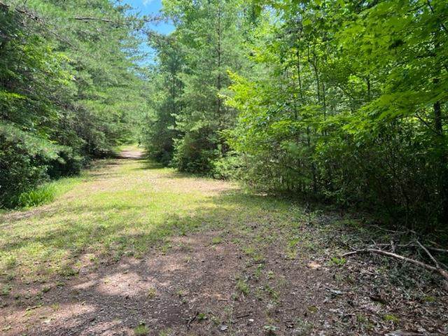 00 Dancing Bear Ridge - Photo 1
