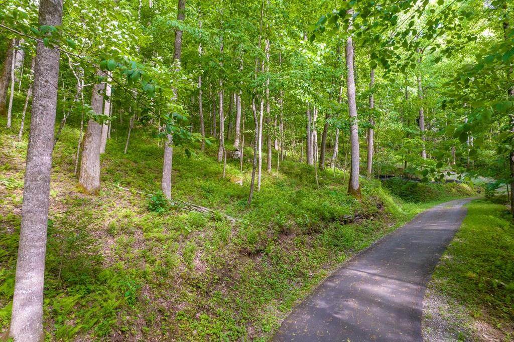 Lot 5B Von Trapp Lane - Photo 1