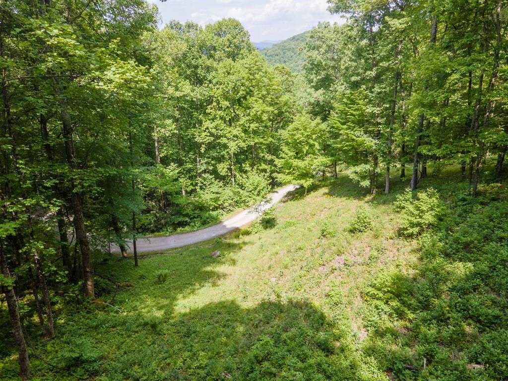 Lot 12A Von Trapp Lane - Photo 1