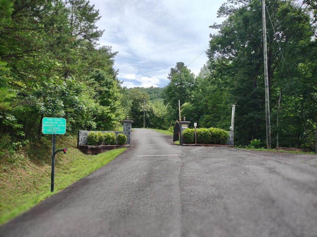 Lot 51 Top Road A - Photo 1