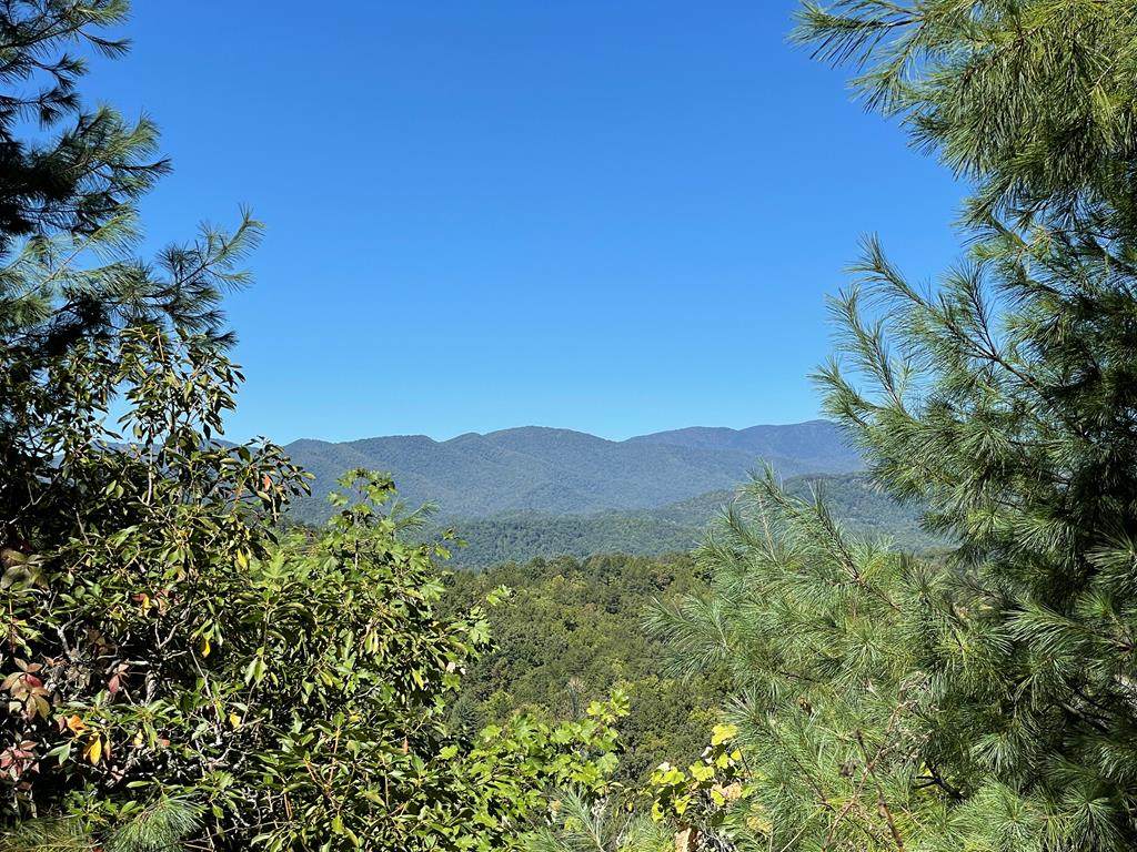 Lot 11 Fiddlers Mountain Rd - Photo 1