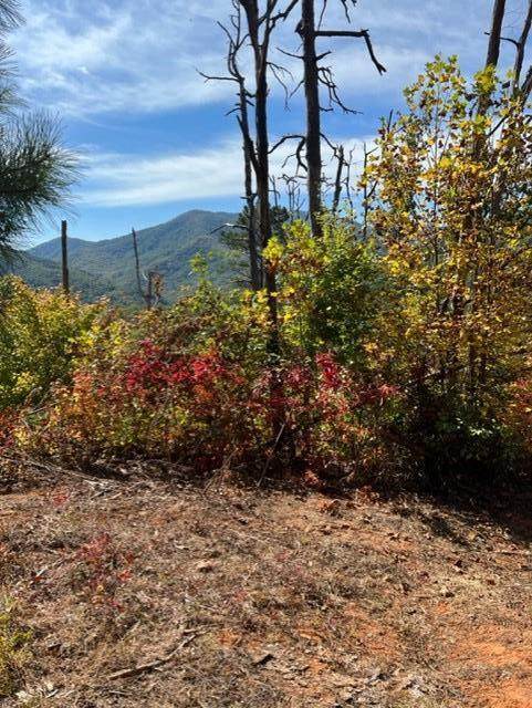 0 Tuskeegee Acres - Photo 1