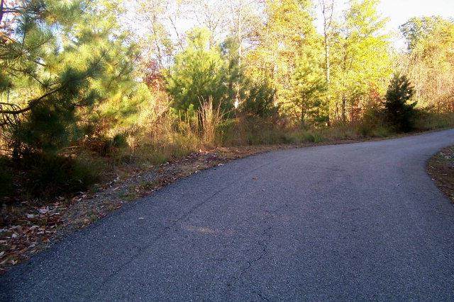00 Knobby Lane - Photo 1