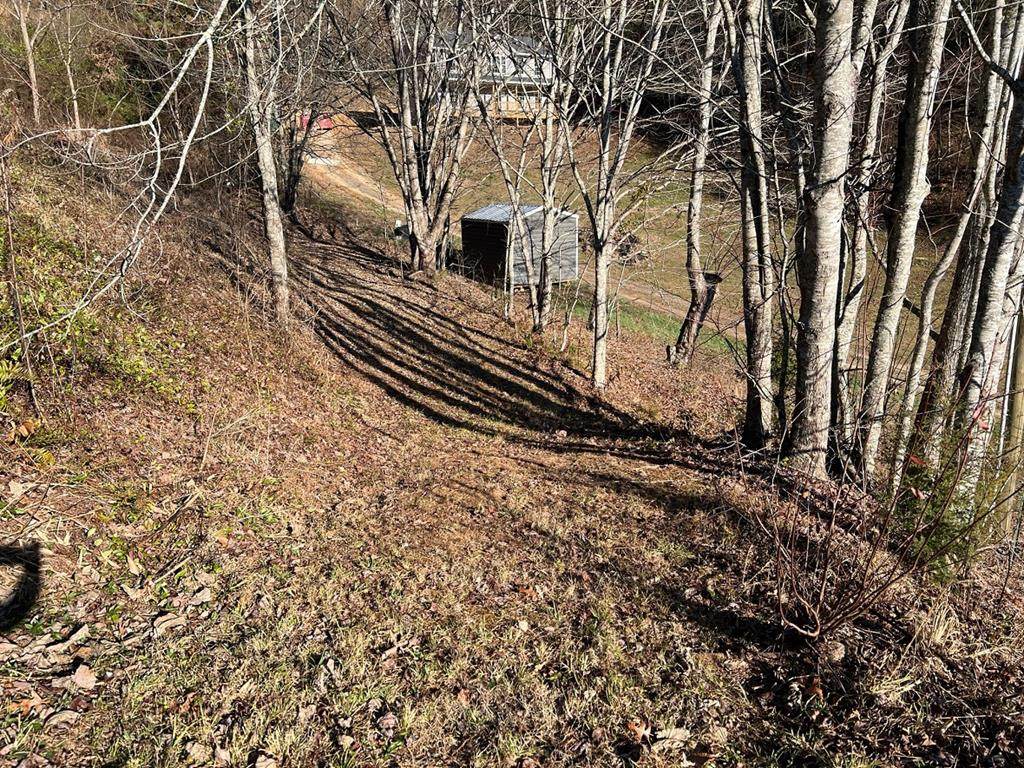 Lot 1 Farmer Cove Rd. - Photo 1