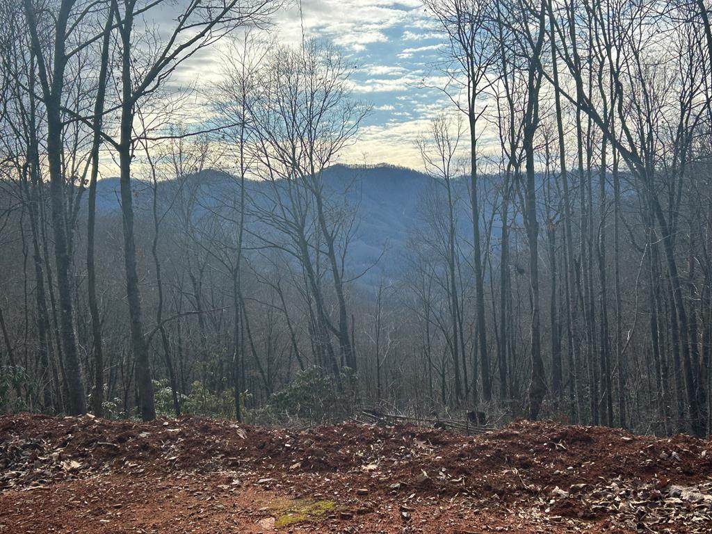Lot 4 Pigeon Creek Road - Photo 1
