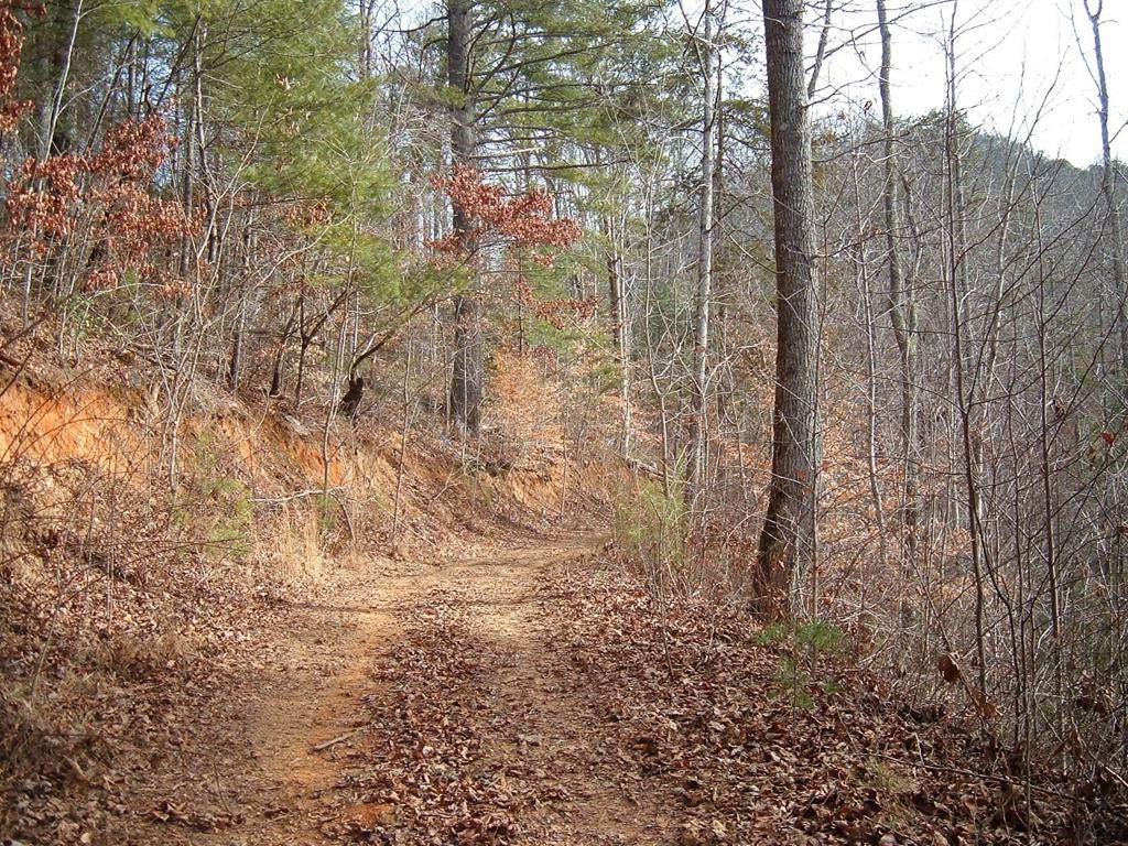 Lot 12 Cedar Cliff/Stovall - Photo 1