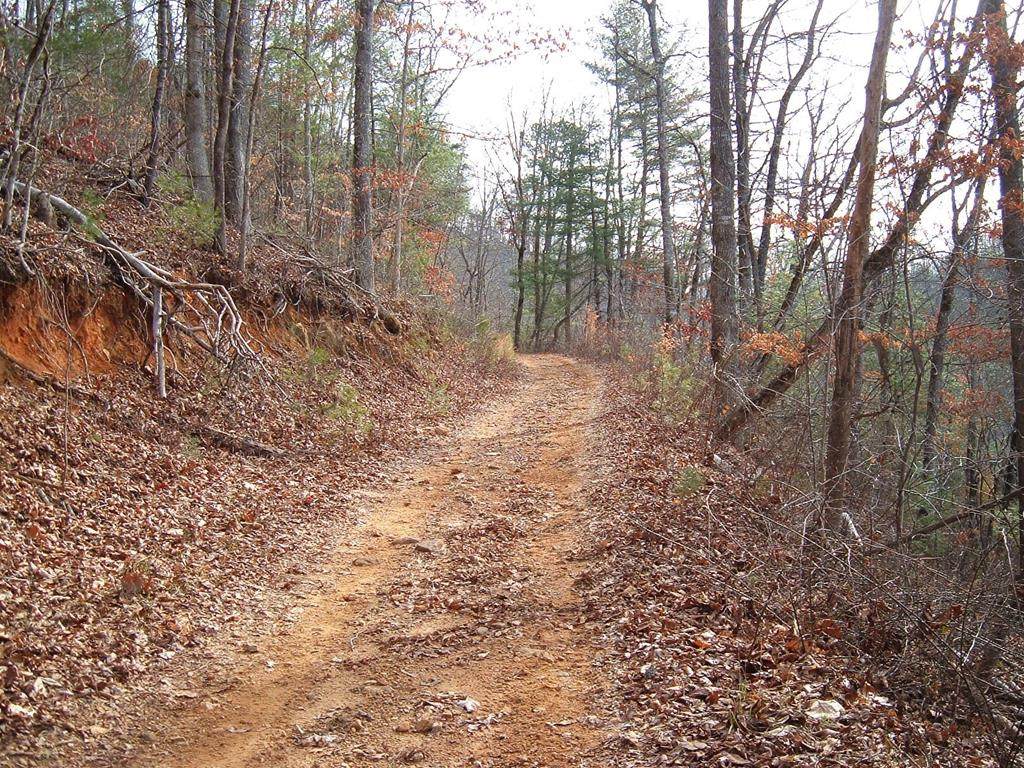 Lot 13 Cedar Cliff/Stovall - Photo 1