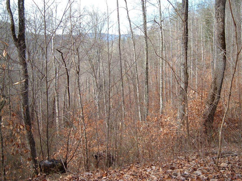Lot 20 Cedar Cliff/Stovall - Photo 1