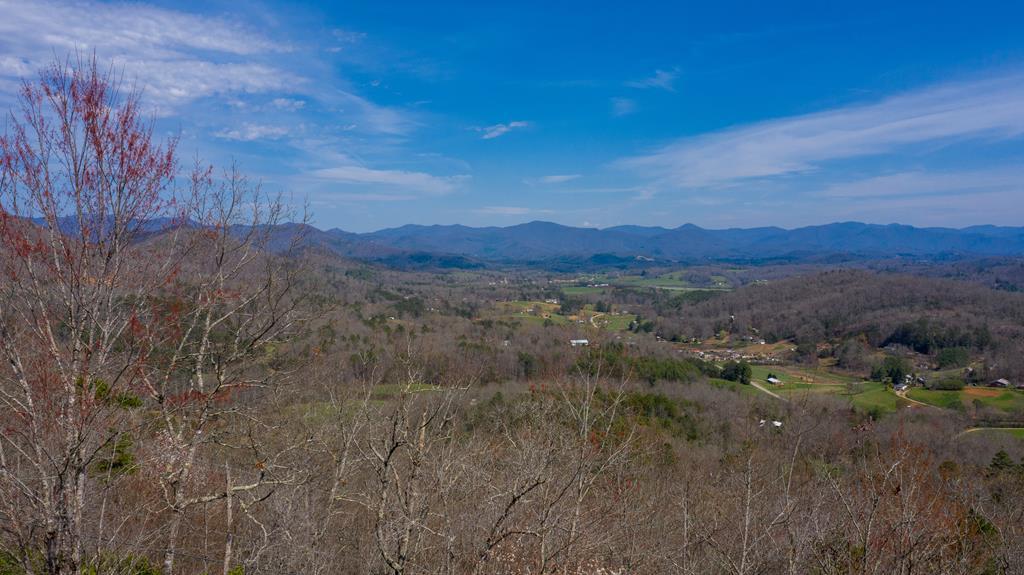 00 Granny's Knob - Photo 1