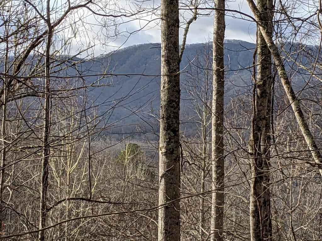 00 Dobson Mnt - Photo 1