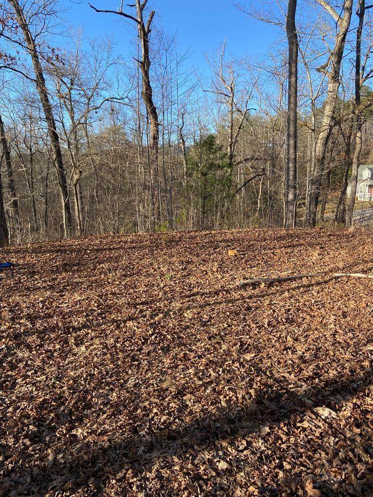 00 Lot 110 Rivermist Lane - Photo 1