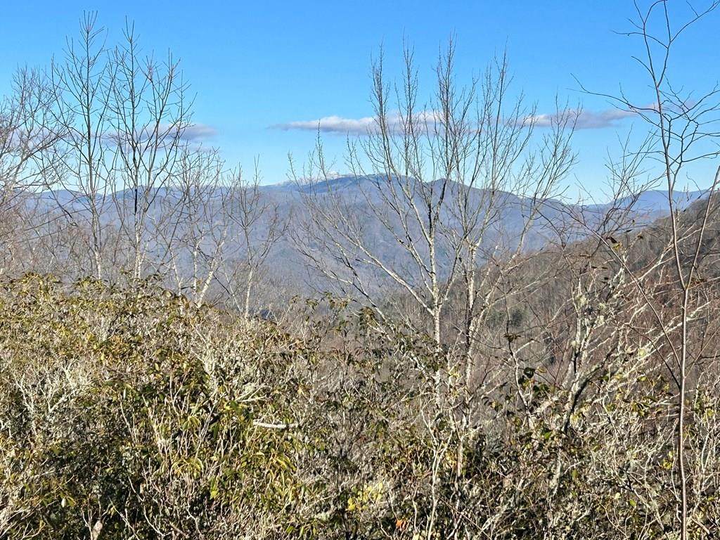 47 & 55 Highlands View - Photo 1
