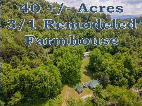 131 Watauga Road - Photo 1