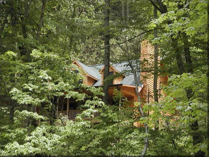 20 Pokeberry Ln - Photo 1