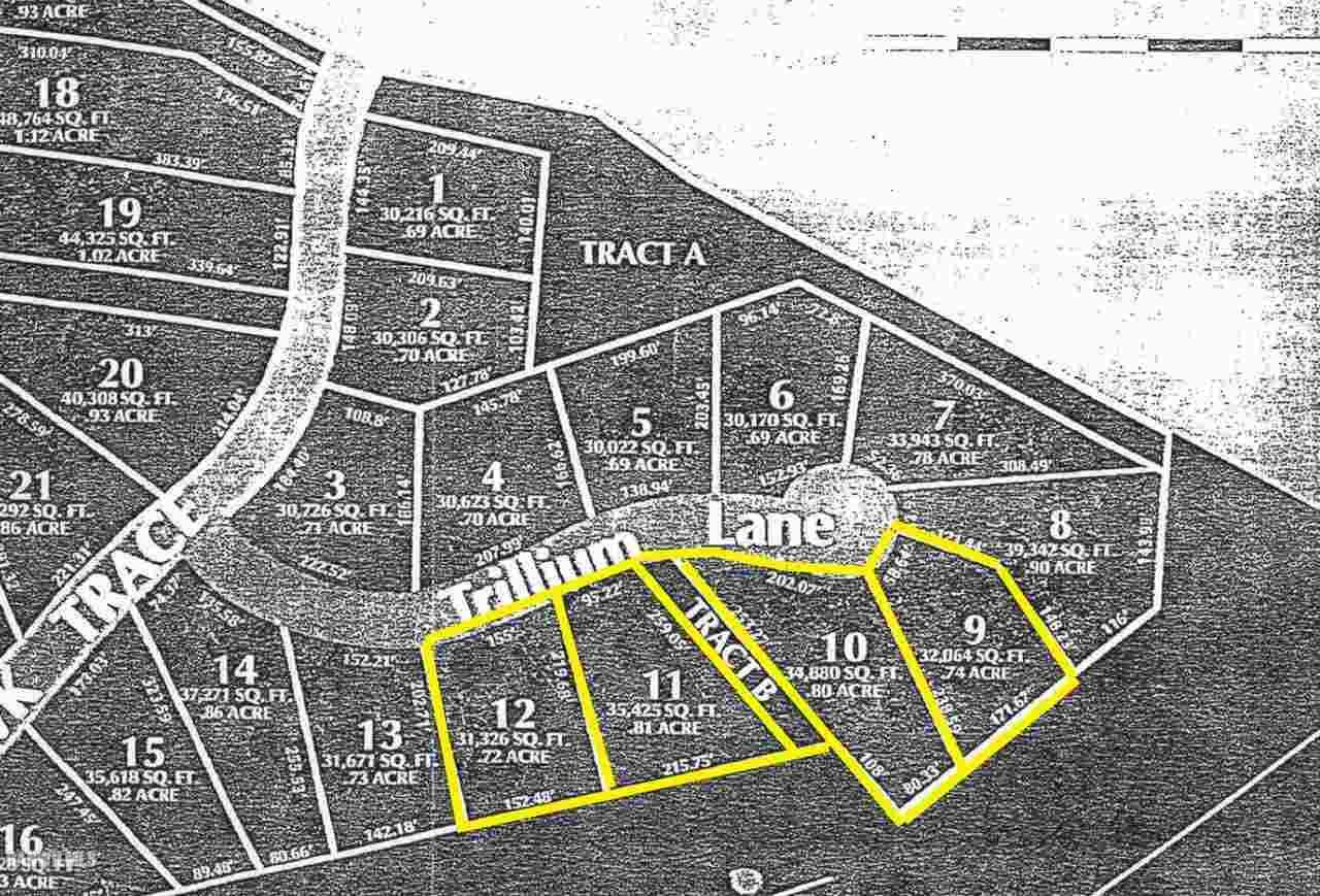 9 Trillium - Photo 1