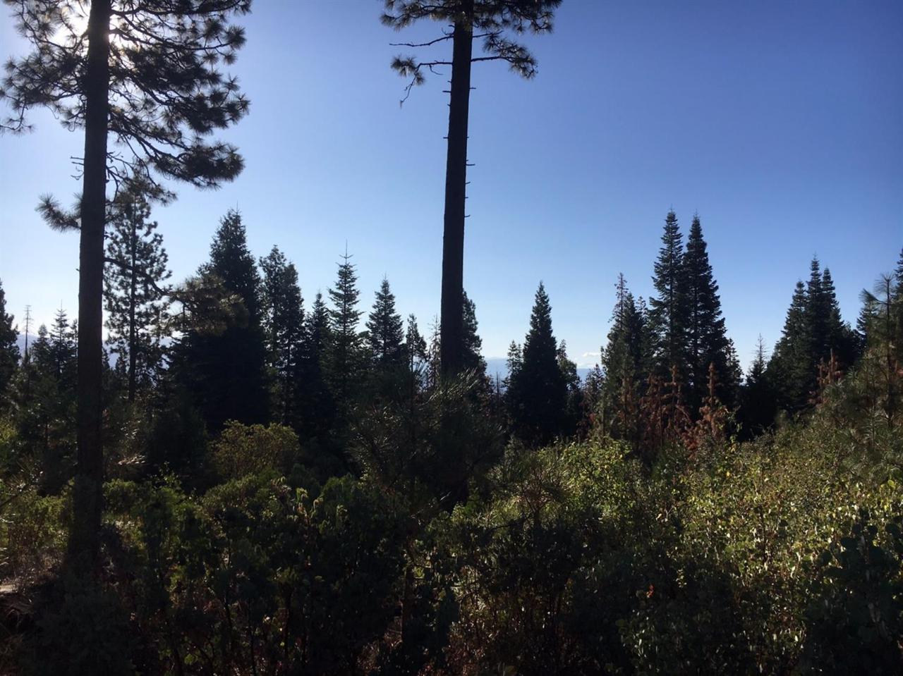 0 Wild Iris Lane - Photo 1