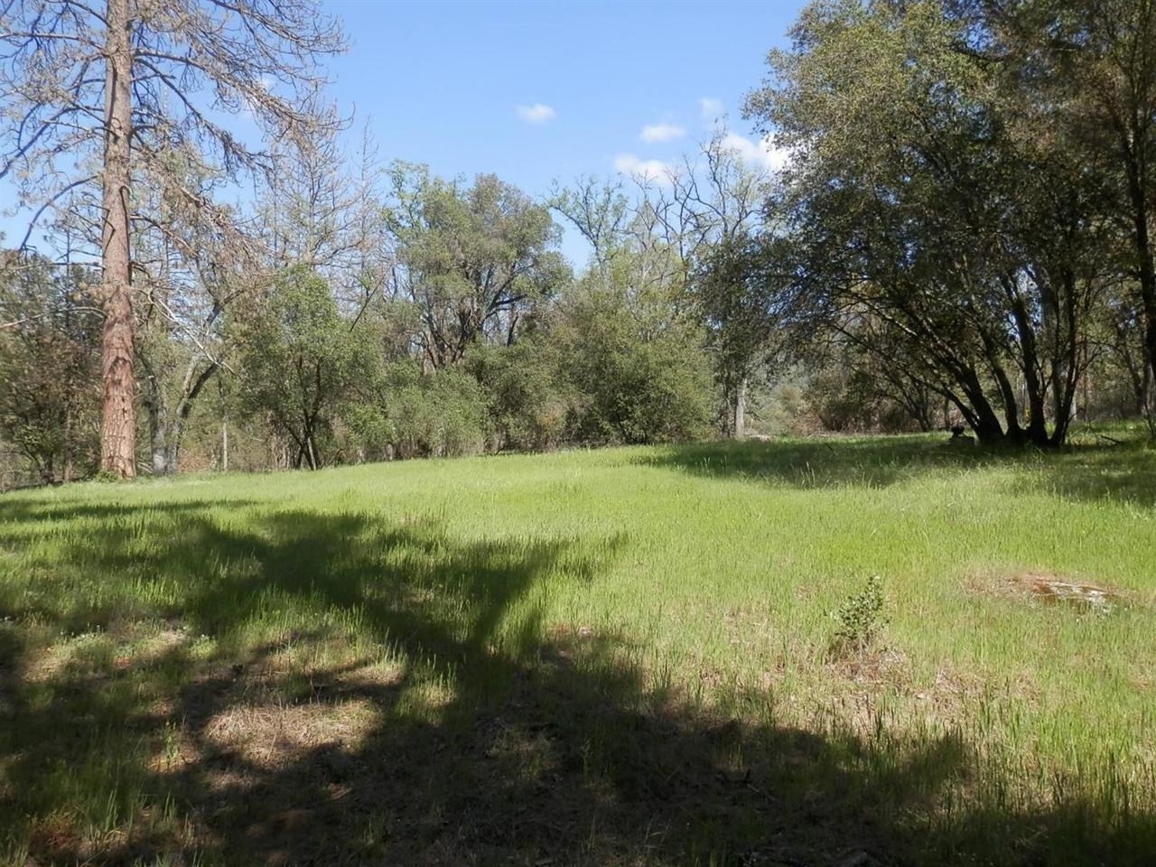 0 Cedar Creek Ct - Photo 1