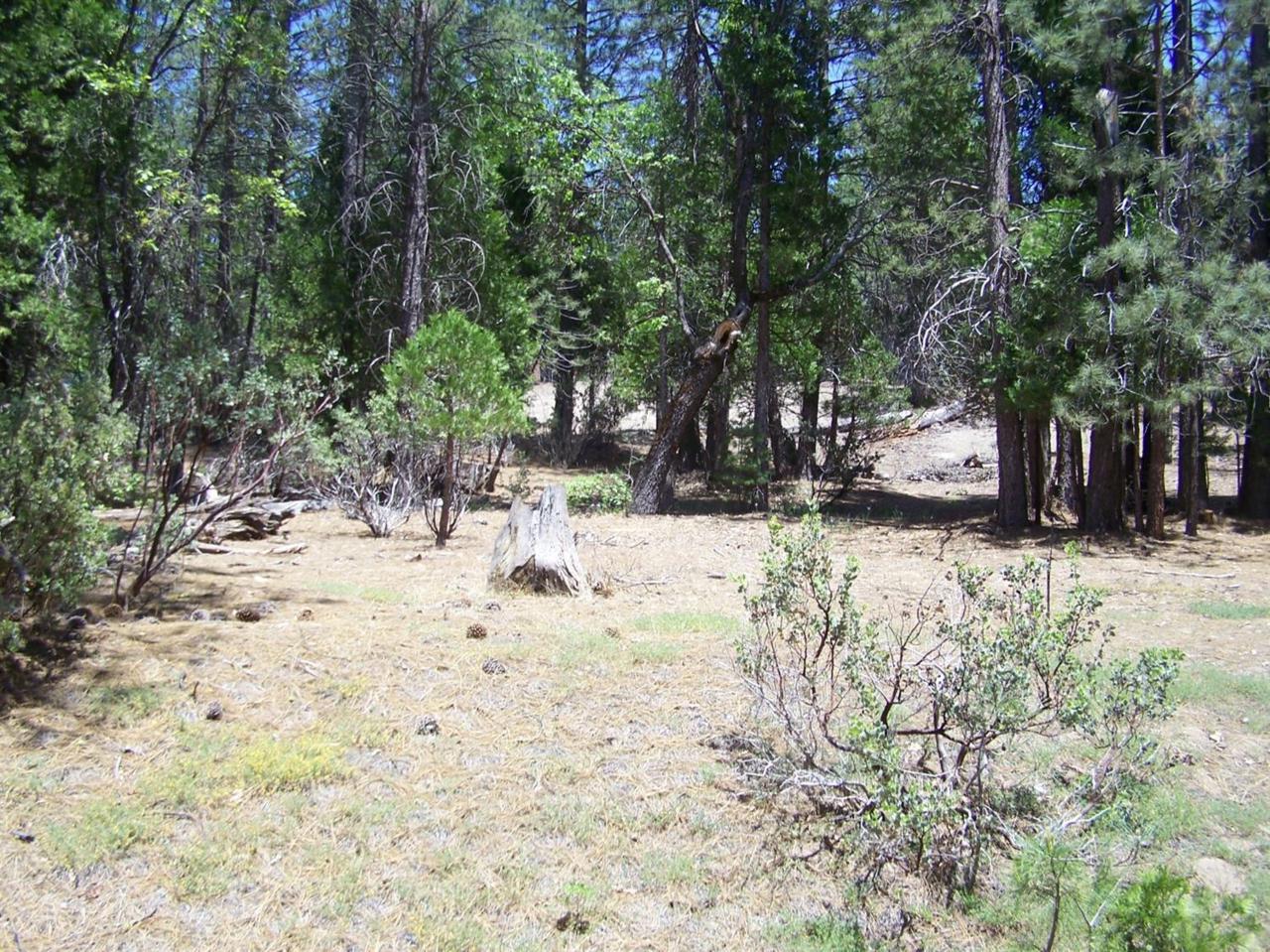 0 Meadow Lane - Photo 1