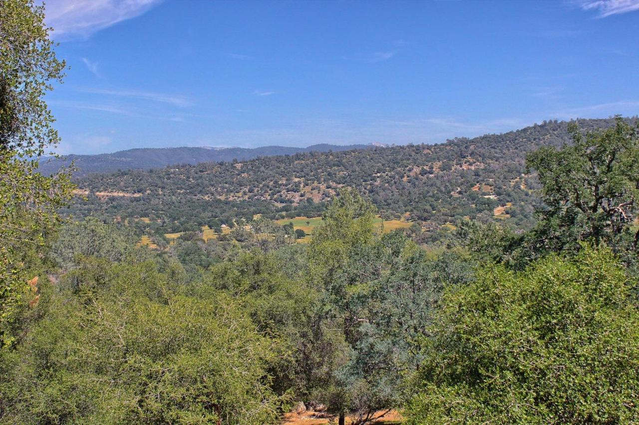 0 Lilley Mountain Drive - Photo 1