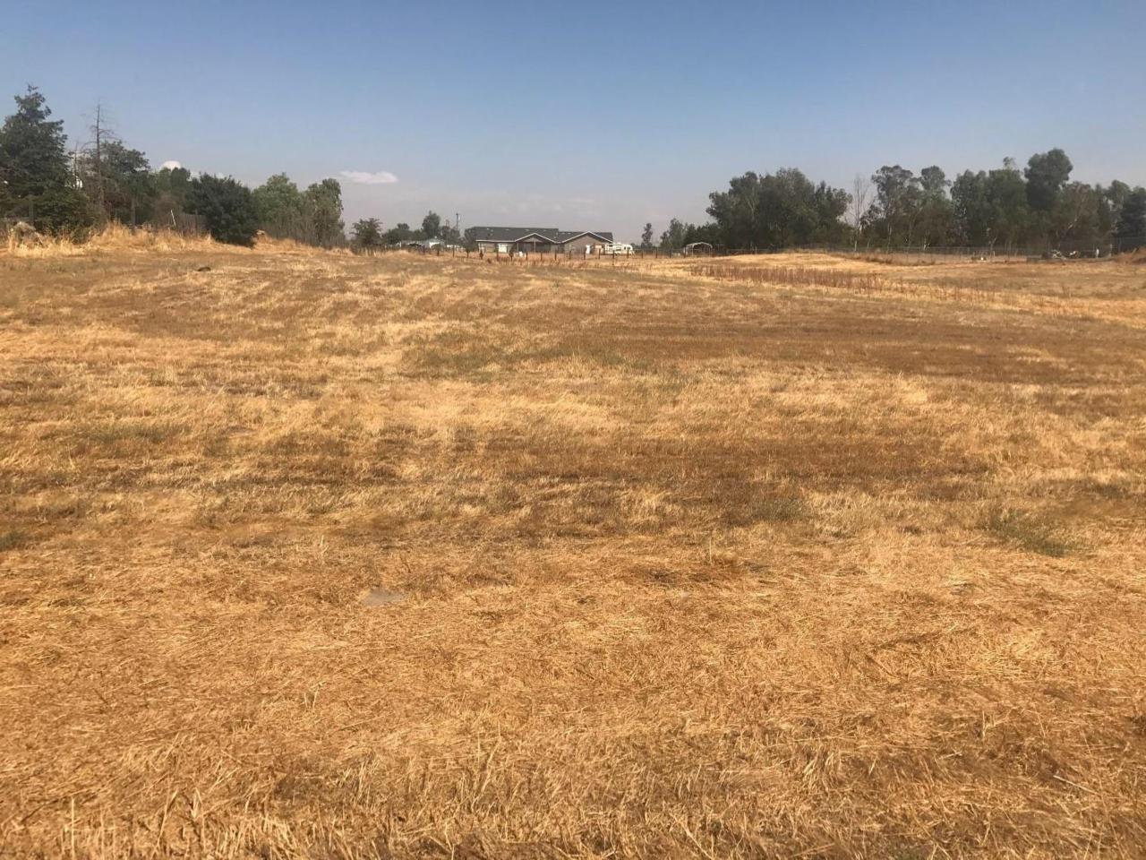 263-Lot Road 36 - Photo 1