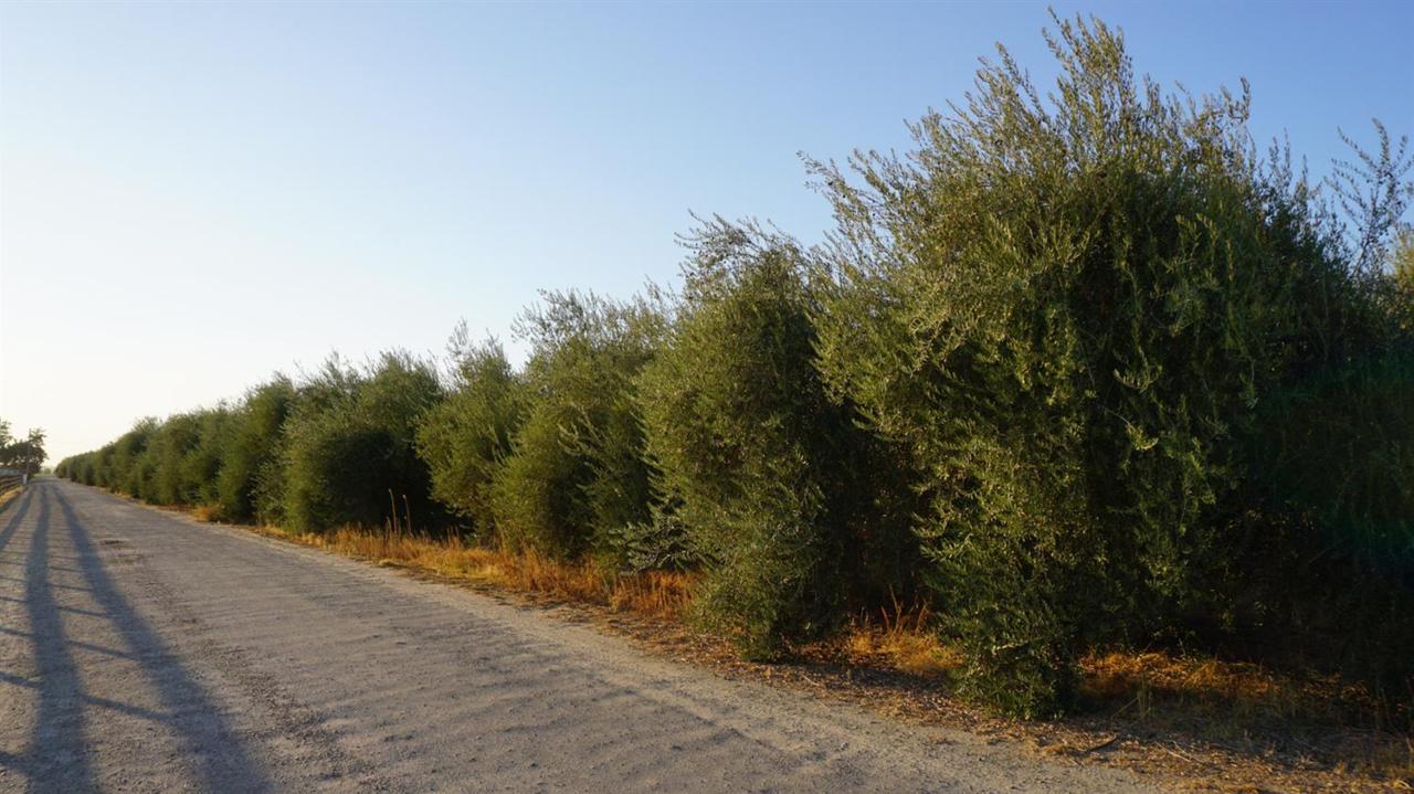 35902 Road 124 - Photo 1