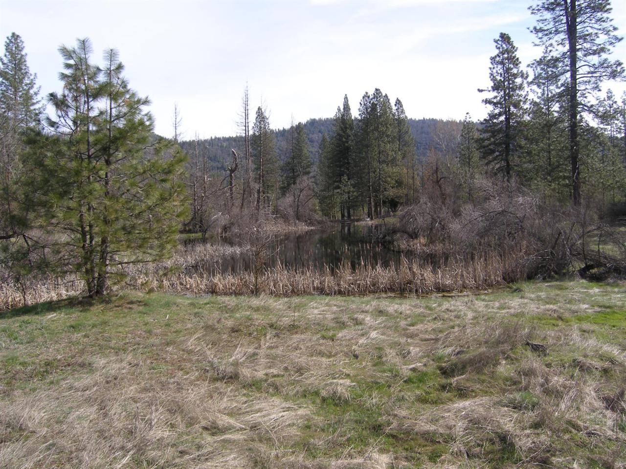 5 Shaver Springs - Photo 1