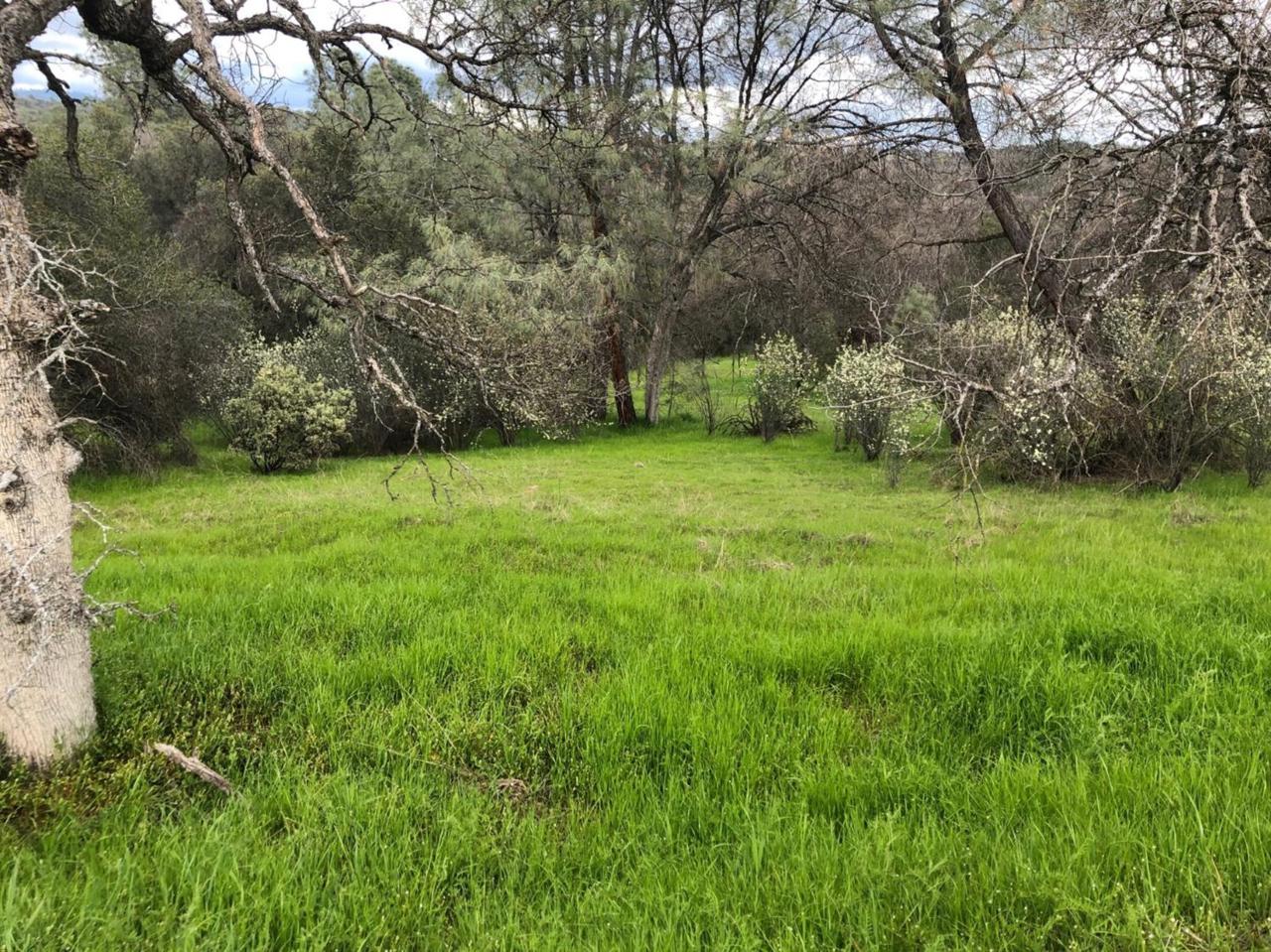 0 Meadow Ridge Road - Photo 1